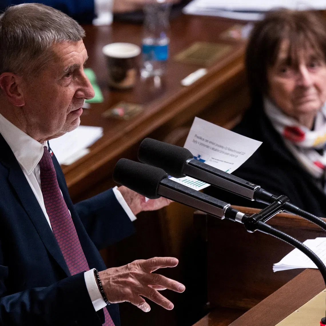 Czech Prime Minister Andrej Babis did not say what specific steps his government plans to take or when.