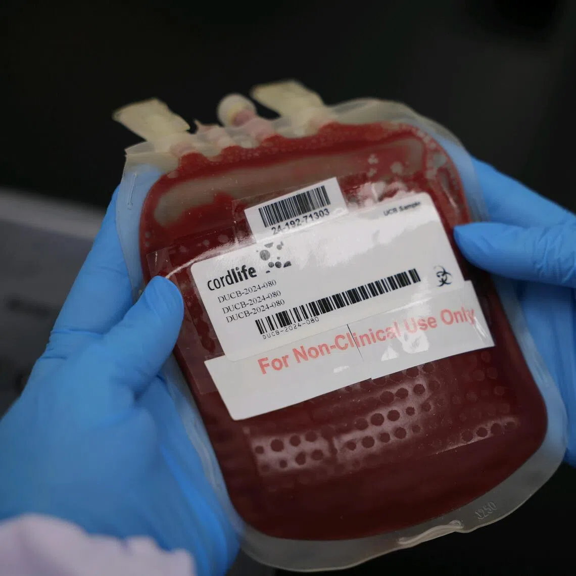 The one-year licence renewal will allow Cordlife to continue to store and transfer the cord blood still under its care..