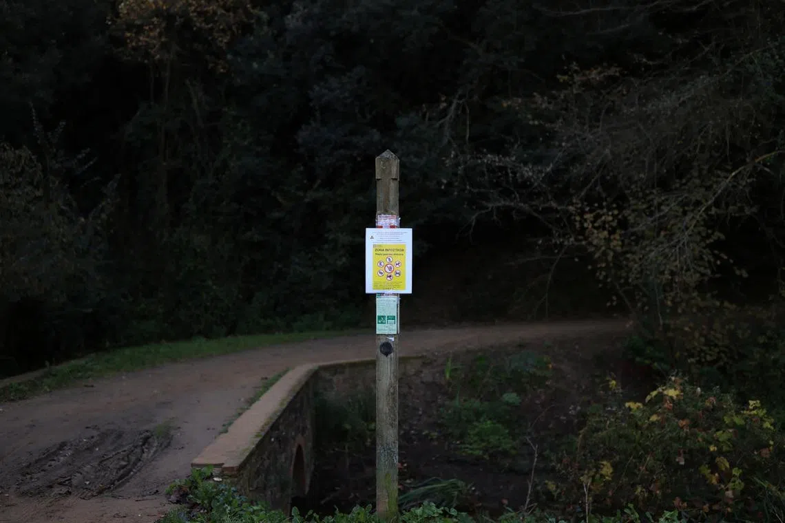 FILE PHOTO: A sign shows an infected area by the African swine fever virus, at Collserola Park, in Cerdanyola del Valles, on the outskirts of Barcelona, Spain, December 1, 2025. REUTERS/Nacho Doce/File Photo