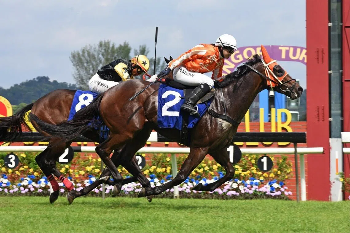 Pacific Energy - Pacific Energy

PHOTO:  SELANGOR TURF CLUB
upload this photo to ST Racing