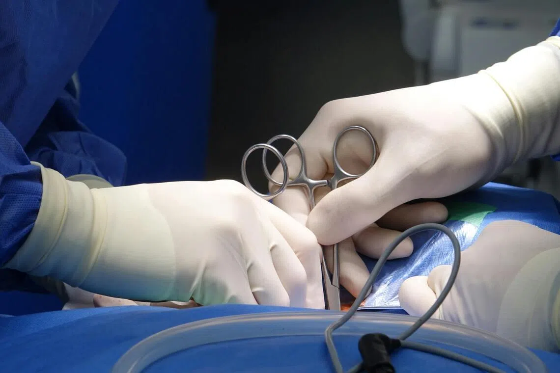 straitstimes.com - Japan to release 50 million medical gloves to ease supply crunch