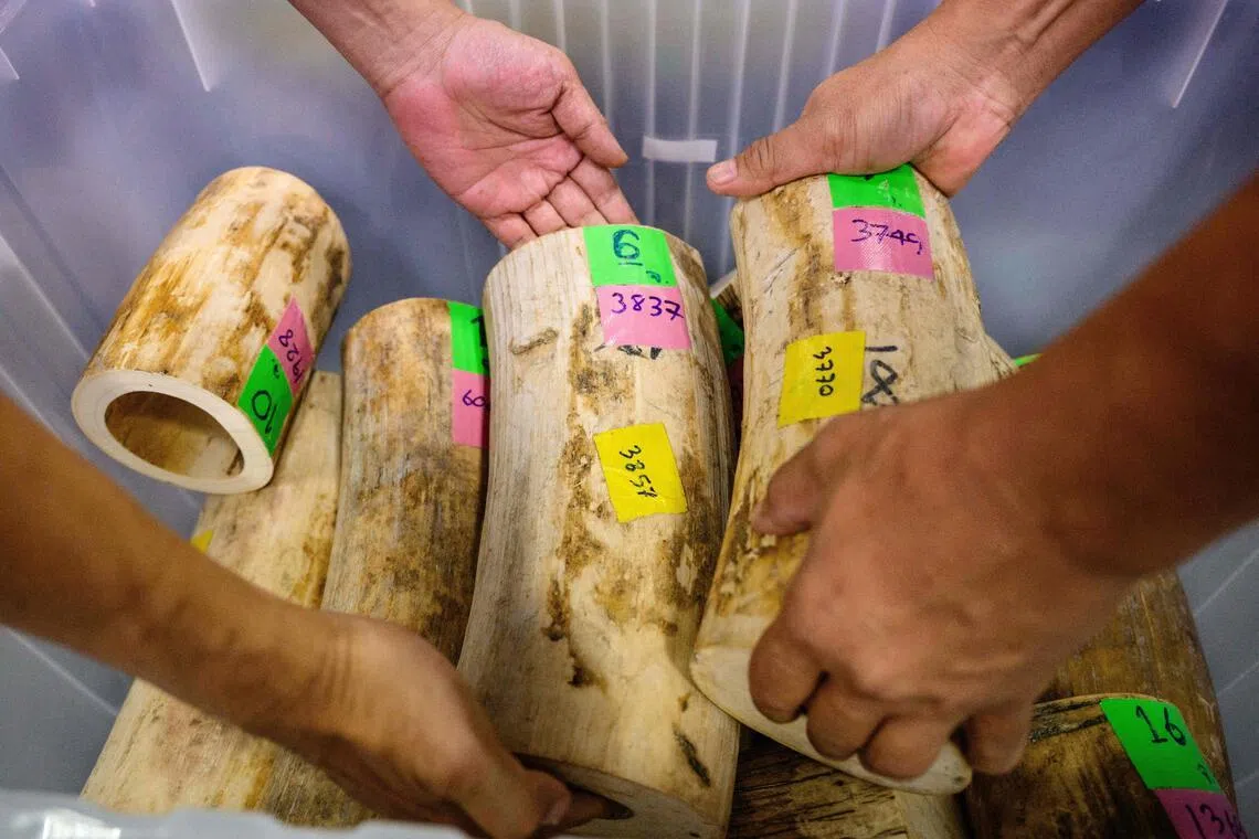 The arrests and seizures, valued at around $380,000, occurred across seven Thai provinces on May 7.