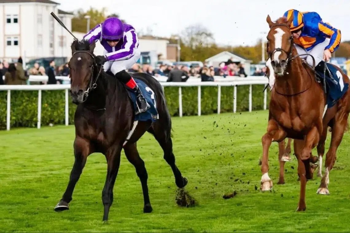 Hawk Mountain (Ronan Whelan, left) dominating stablemate Action (Wayne Lordan) to claim the Group 1 Futurity Trophy Stakes (1,600m) at Doncaster on Oct 25.