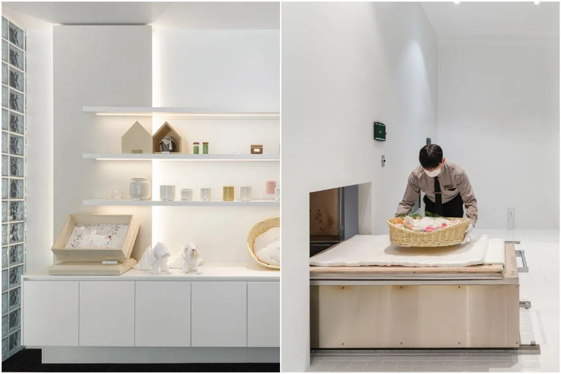 Rising demand has invigorated the industry, drawing in new providers and expanding available services.