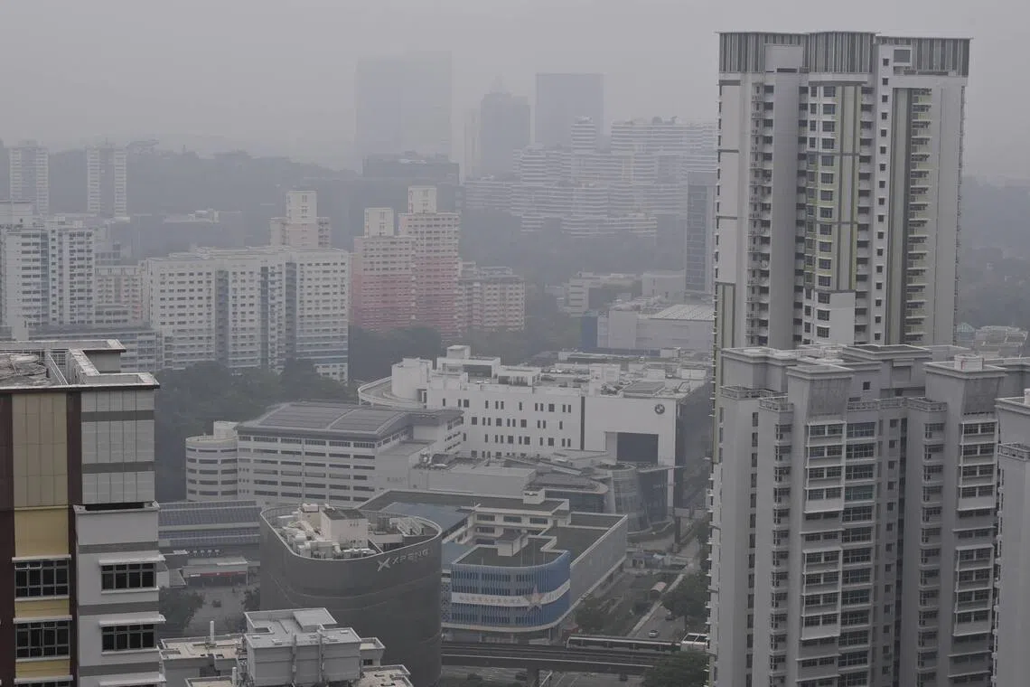 Hazy conditions as viewed from the roof garden of SkyVille@Dawson at 5.15pm on Oct 10.