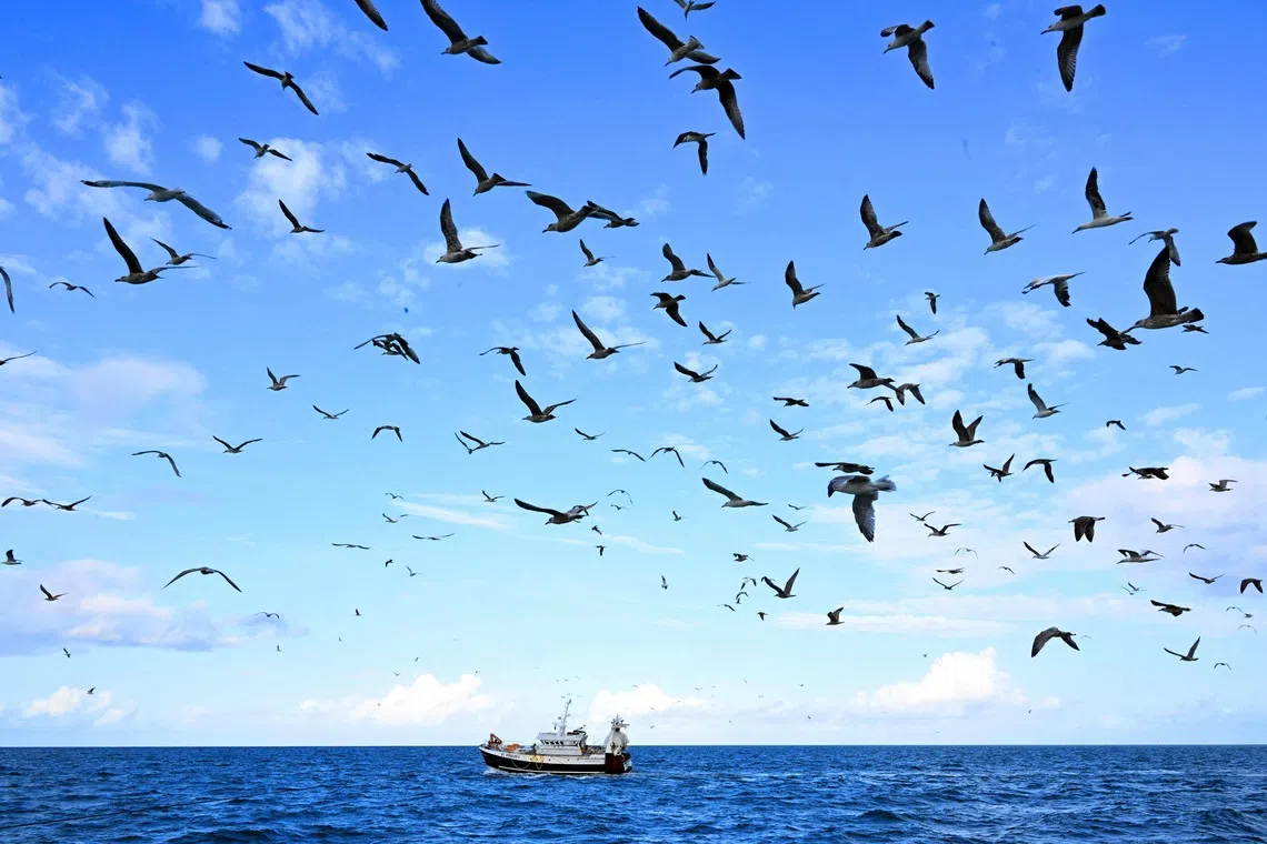 The law aims to protect biodiverse areas worldwide that lie in waters beyond countries’ exclusive economic zones.