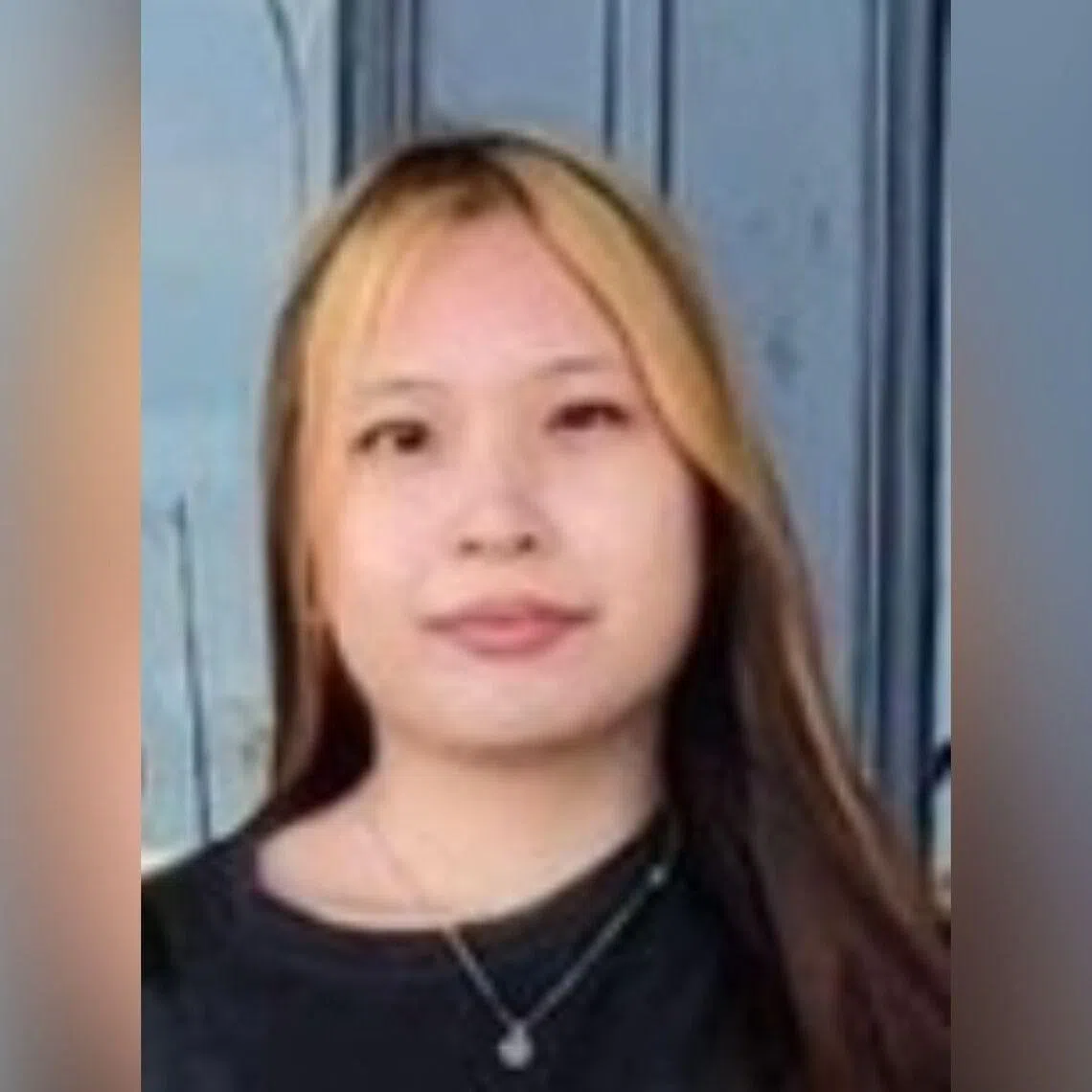 Mavie Lim Zi Han was last seen near Block 275A Bishan Street 24 at about 4am on March 24.