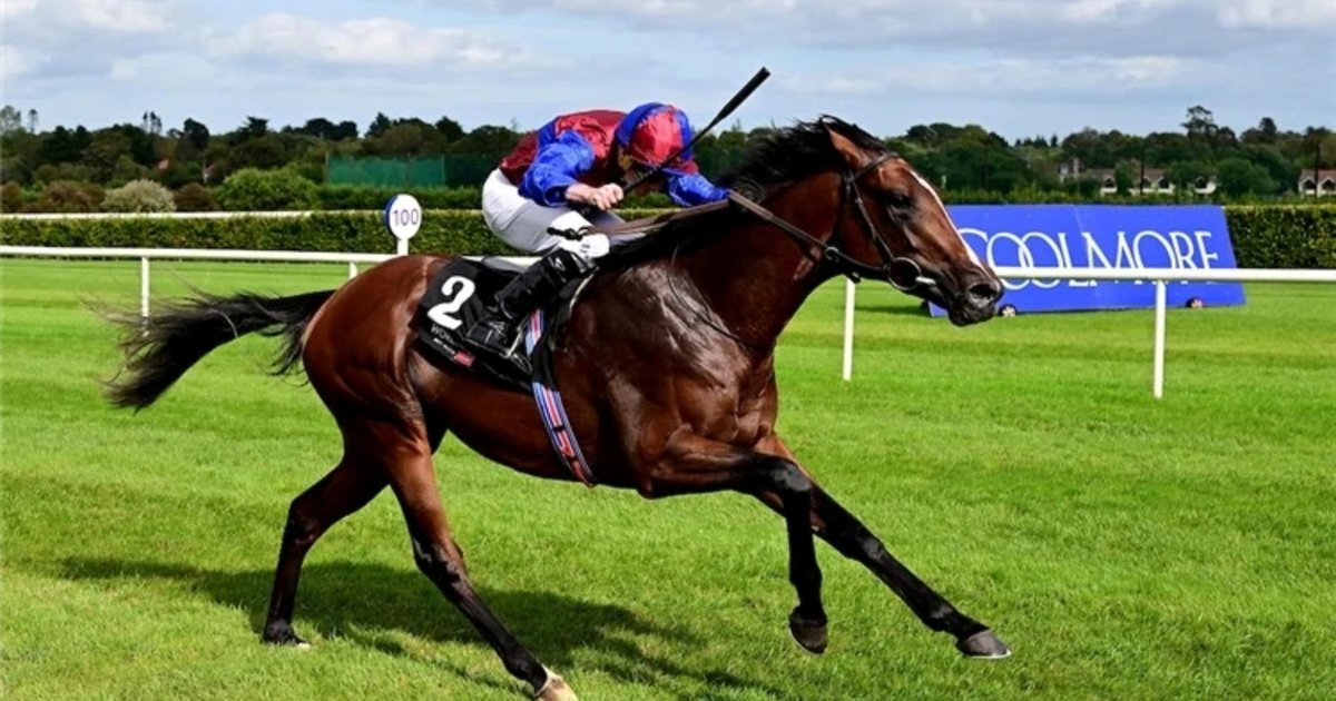 Darkness Falls downs Desert Castle in Dewhurst battle