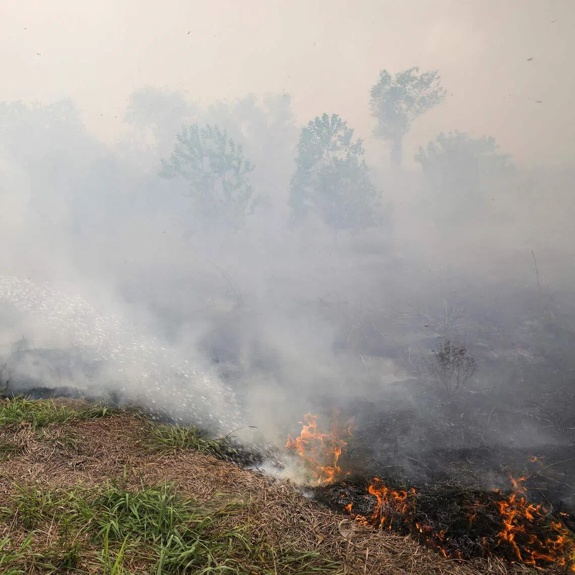 A resident putting out a land fire in Palangkaraya, in Indonesia’s province of Central Kalimantan, on Sept 9.