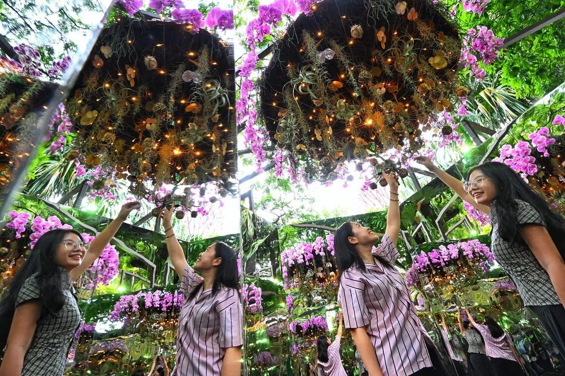 Two young visitors admiring the floral chandeliers at the Floral Mirror Maze at the Singapore Garden Festival on July 2.