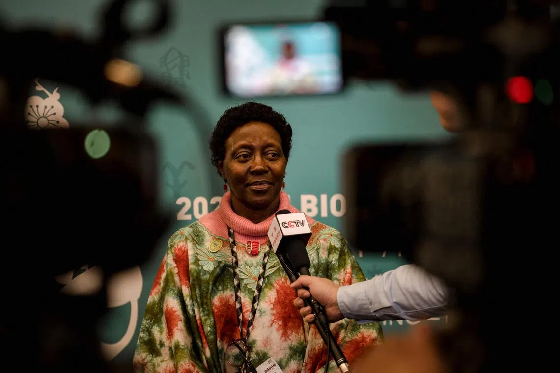 Elizabeth Mrema, Executive Secretary of the UN Convention on Biological Diversity, said a record number of private-sector parties registered for this year’s summit