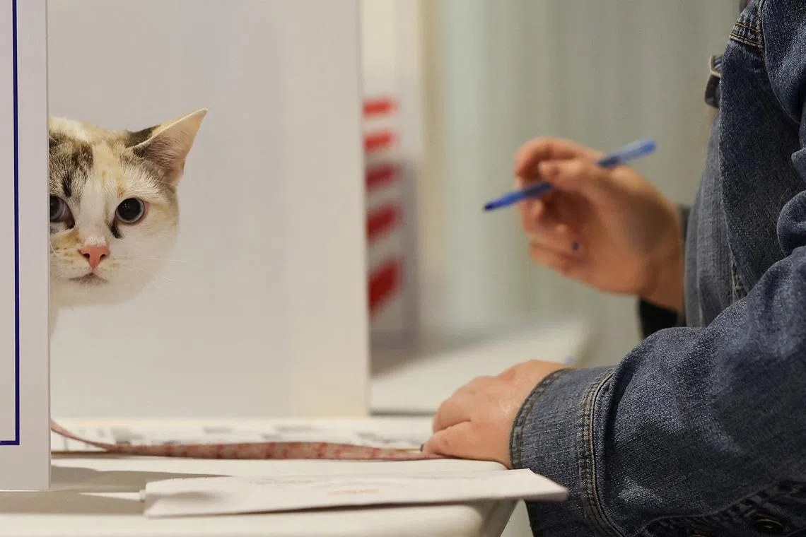 Melissa Fehl votes, next to a cat named "Skye", in the 2024 U.S. presidential election on Election Day, at the Mattress Factory in Pittsburgh, Pennsylvania, U.S., Nov 5, 2024. 