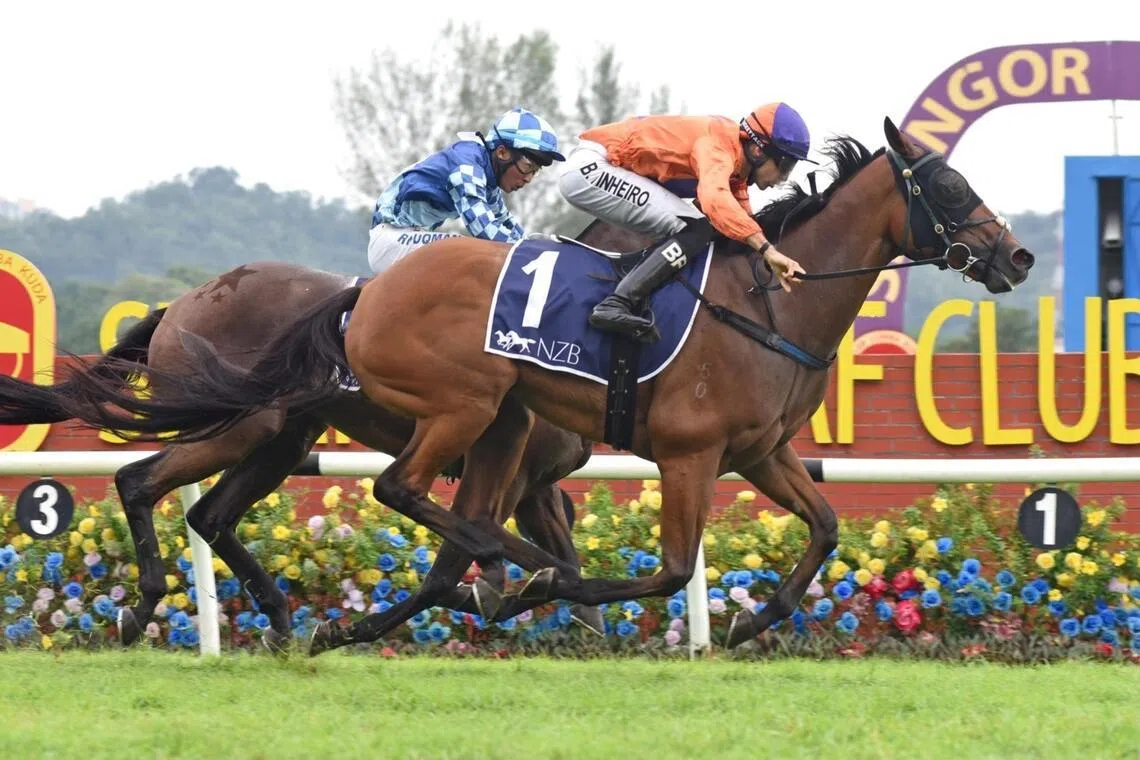 The Simon Dunderdale-trained Antipodean (Bernardo Pinheiro) winning the NZB Ready To Run Open Championship (1,400m) on Oct 12, 2025.