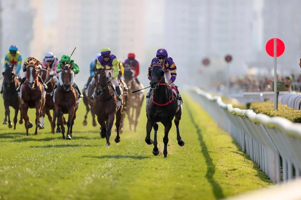 Stellar Express (Andrea Atzenil) drawing clear to win the Group 3 Bauhinia Sprint Trophy Handicap (1,200m) at Sha Tin on Jan 4.

PHOTO: HKJC