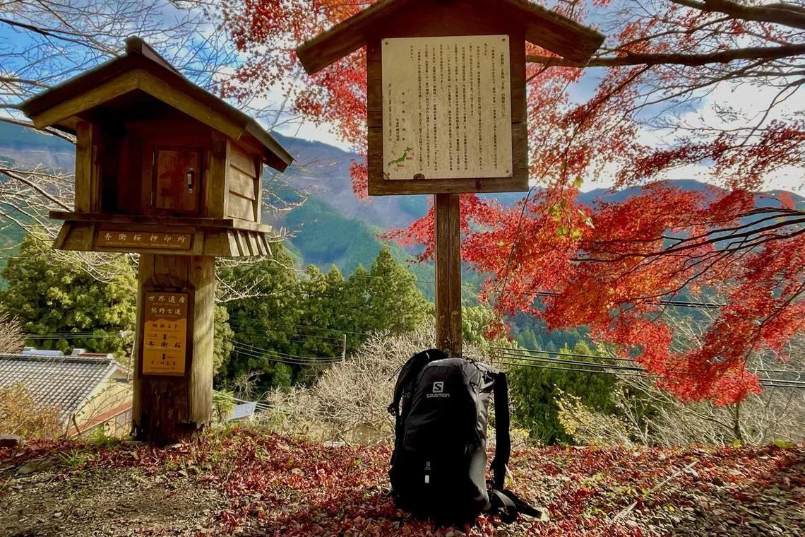 Shrines along the Kumano Kodo.