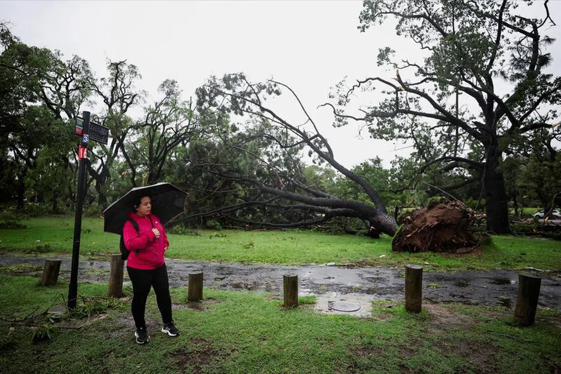 A woman waits for the bus near a damaged tree, after a severe storm, in Buenos Aires, Argentina, December 17, 2023. REUTERS/Agustin Marcarian