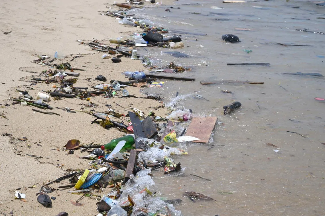 A new study revealed that most trash washed upon Singapore's coasts originated offshore and not from inland sources.