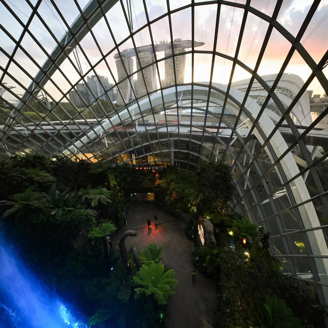 Singapore has a unique opportunity to leverage its extraordinary capacities for future-minded policymaking and intentional cohesion-building, says the writer.