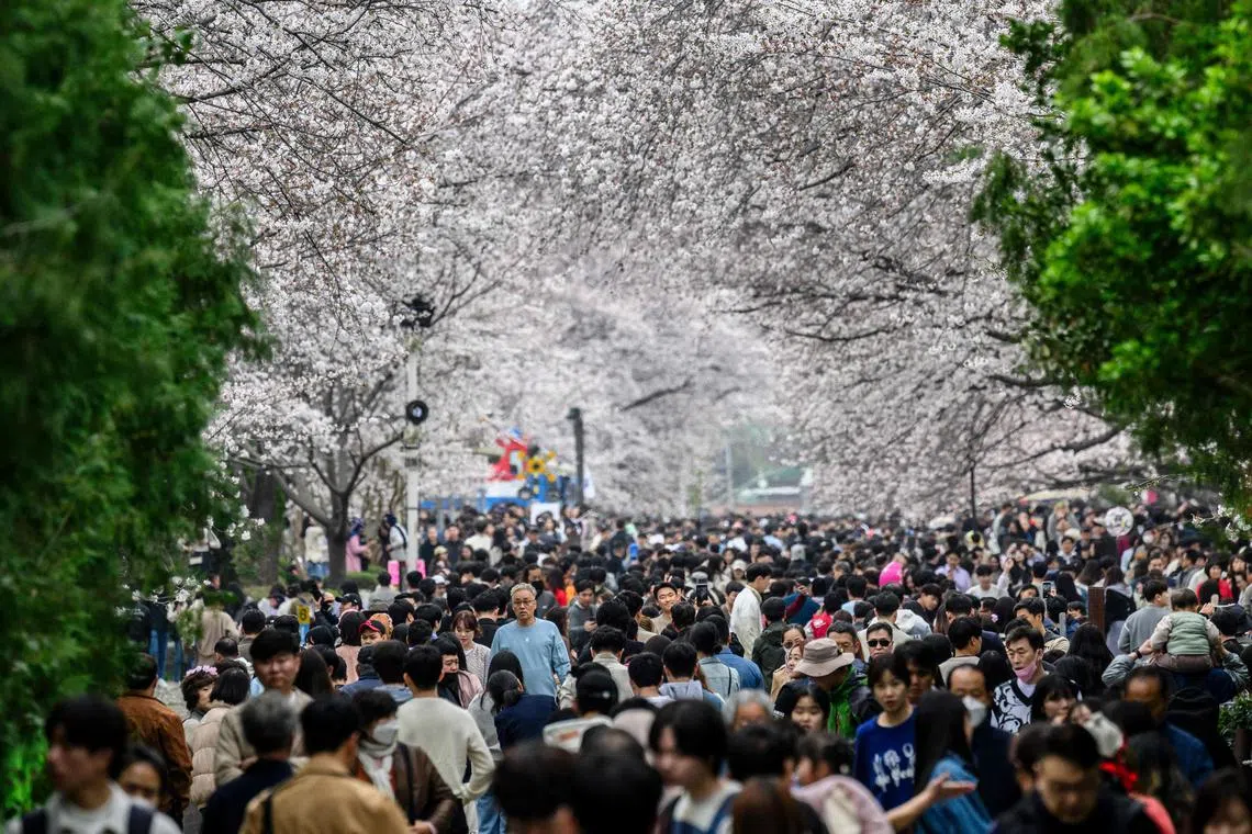 People visit the disused Gyeonghwa Station railway track during the Jinhae Cherry Blossom Festival in Changwon on March 31.