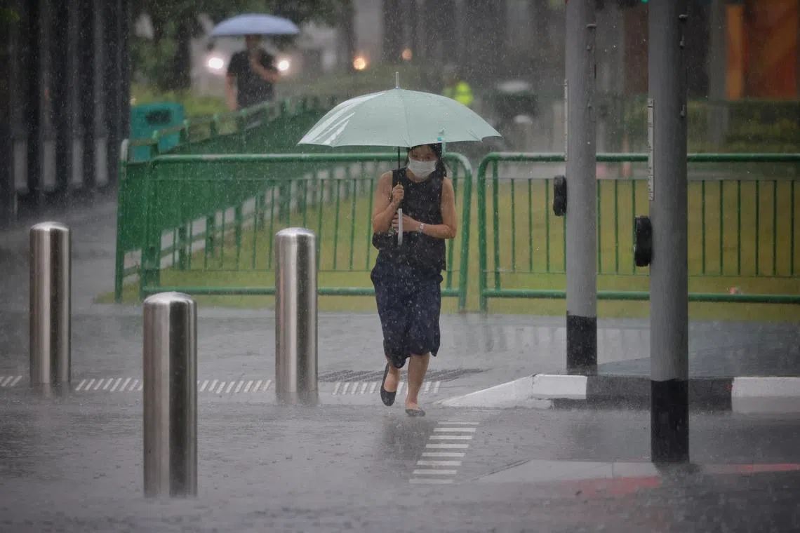 The wet phase of the north-east monsoon is expected to continue into January 2023.