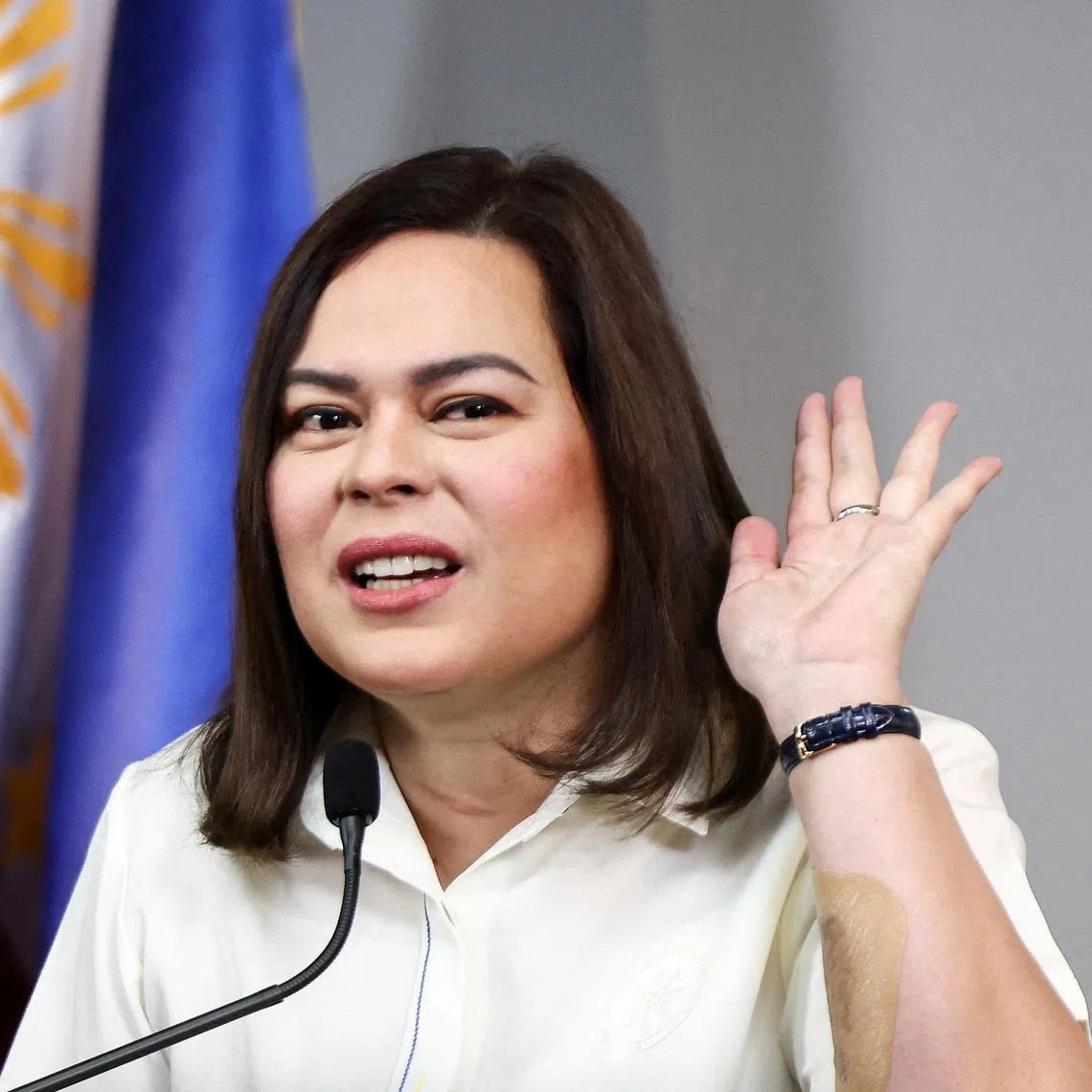 The Bureau of Internal Revenue said it has found probable cause to examine tax records of Vice-President Sara Duterte and her spouse Manases Carpio.