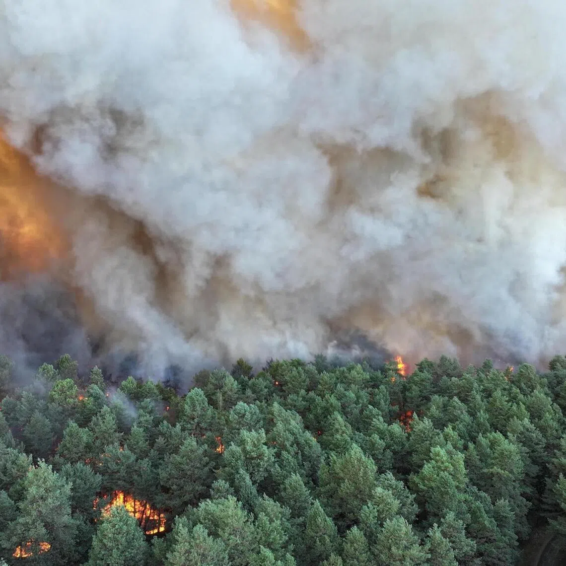 The fire erupted on July 12 in the sprawling Fontainebleau forest, about 60km south-east of the capital Paris.