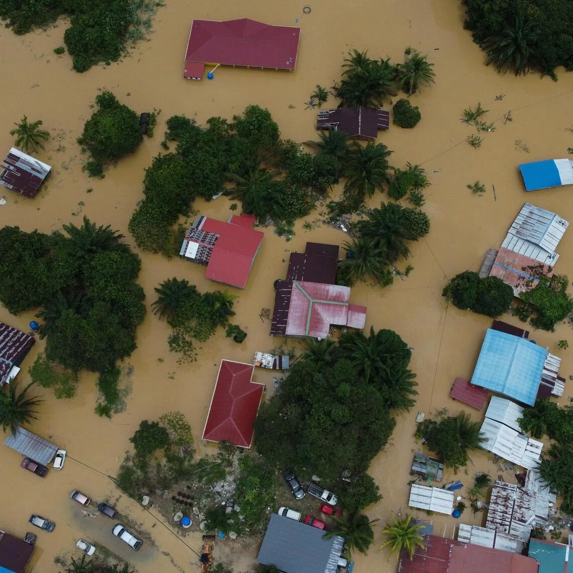 No fatalities have been reported in the floods in Sabah, but officials anticipate substantial damage to crops, livestock and property.