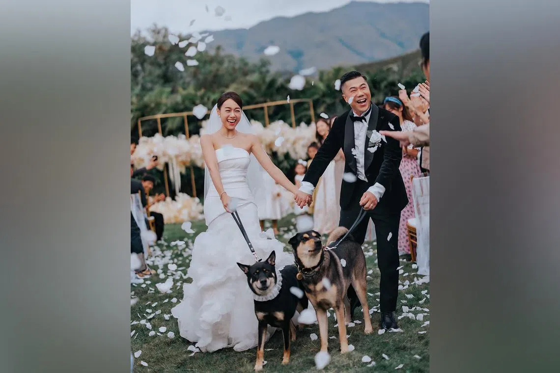Jacqueline Wong and her boyfriend Lai Man Wang held a low-key wedding at a private outdoor venue in Hong Kong on Friday.
