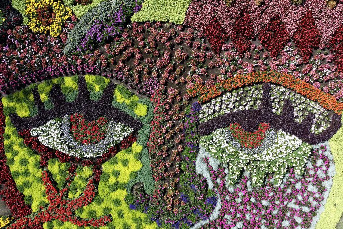 A picture taken with a drone shows a painting made of flowers, titled 'Summer Flower Bed,' by the artist Elita Patmalniece at Kronvalda park in Riga, Latvia on 19 July 2023.  