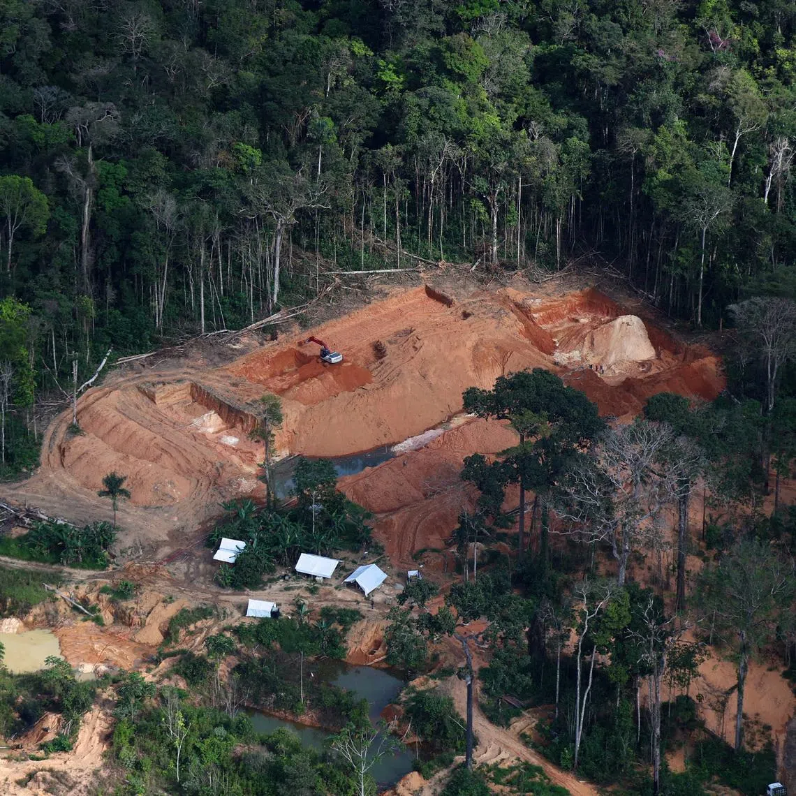 An aerial view shows an illegal gold mine in the Amazon rainforest during a Greenpeace flyover in the municipality of Itaituba, Brazil, on May 20.
