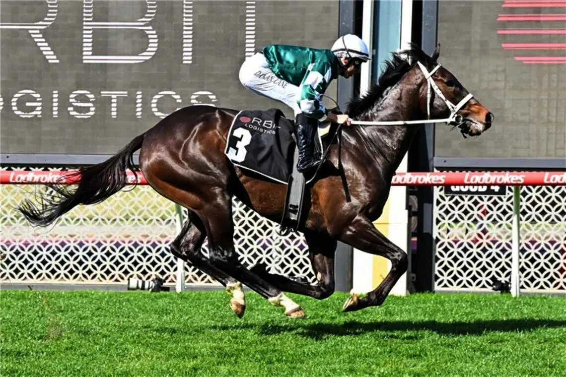 Angel Capital  - Angel Capital 

PHOTO:  RACING PHOTOS