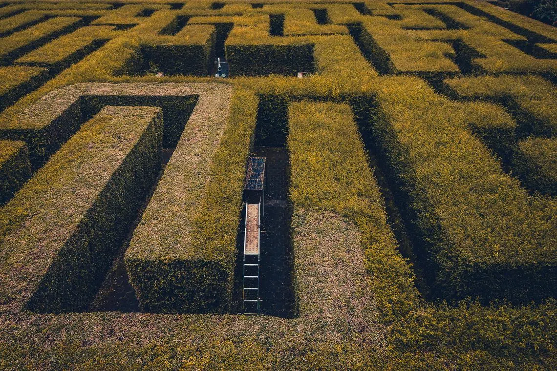 Out of a labyrinth, ready for 2023 | The Straits Times