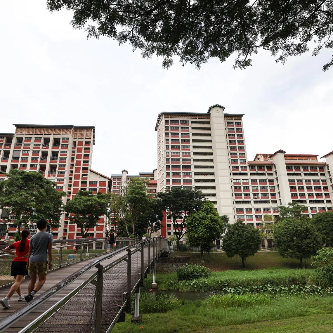 PM Lawrence Wong has addressed some of the key challenges that the country faces in his National Day Rally speech, but some issues will be hard to resolve.