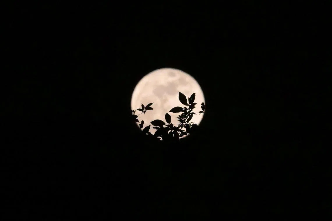 Rare blue supermoon mesmerises sky gazers in Singapore | The Straits Times