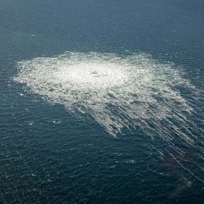 Nato forces in the region went on high alert following the Dec 25 incident, one of a string of cable and gas pipeline outages in the Baltic Sea.