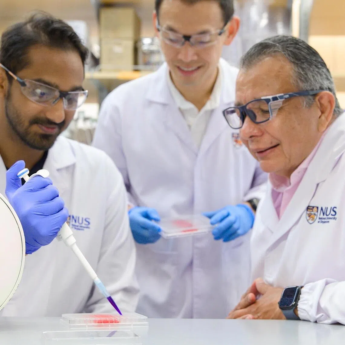 (From left) National University of Singapore researchers Viresh Krishnan Sukumar, Alex Tai and Alfredo Franco-Obregon have successfully used this approach for targeted breast cancer therapy without the use of chemotherapy.