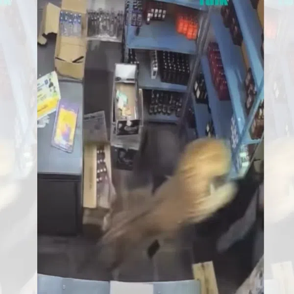 A screengrab from a security camera shows a leopard pouncing on 25-year-old salesman Sanjay Gurjar.