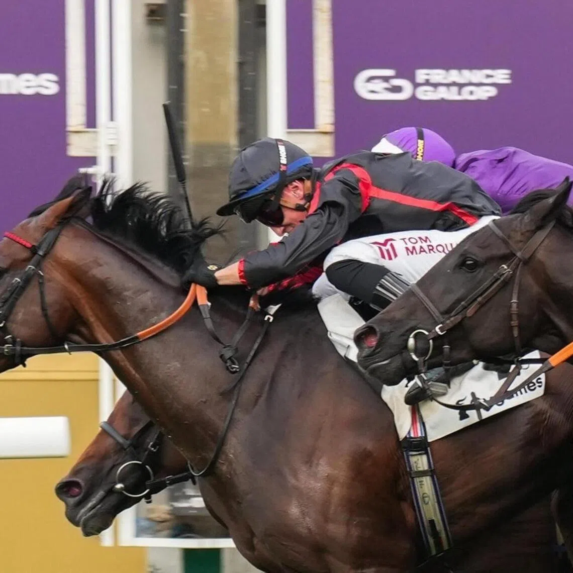 Maltese Cross - Maltese Cross (Tom Marquand) lunging late between horses to gain the verdict in the Group 1 Grand Prix de Paris (2,400m) at ParisLongchamp on July 14

PHOTO: SCOOPDYGA