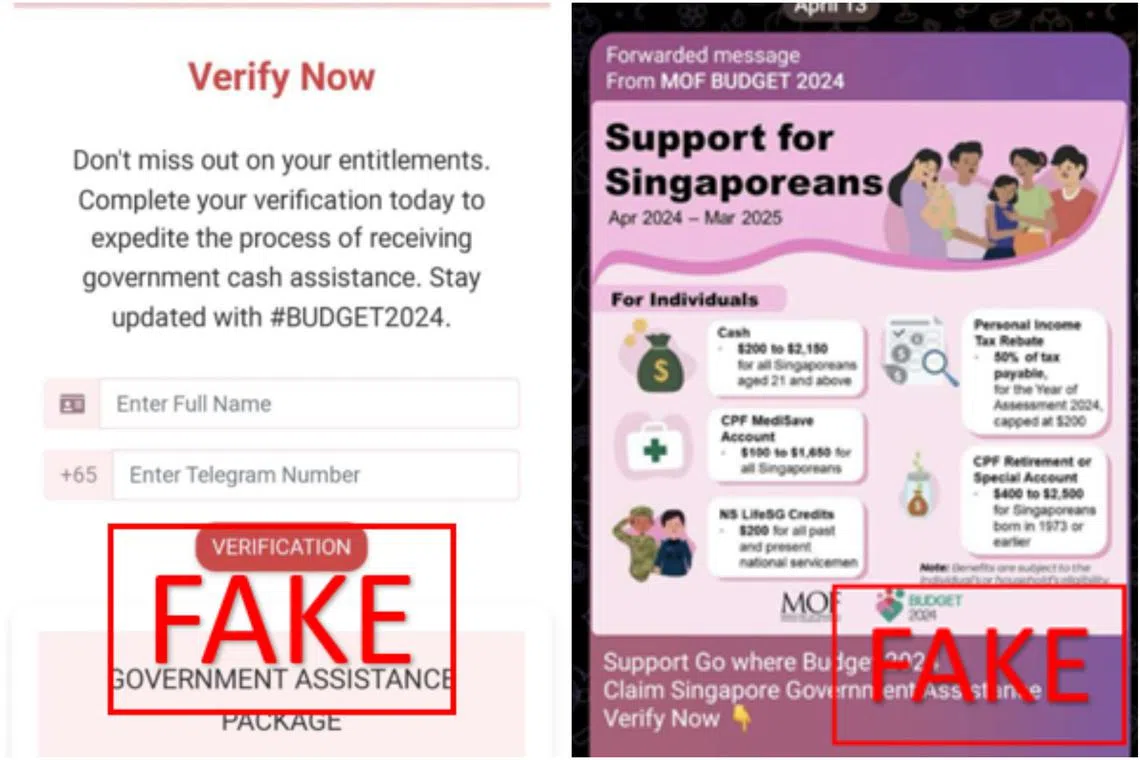 The website would request victims’ names and Telegram accounts’ contact numbers to verify the victims’ eligibility for Government assistance.
