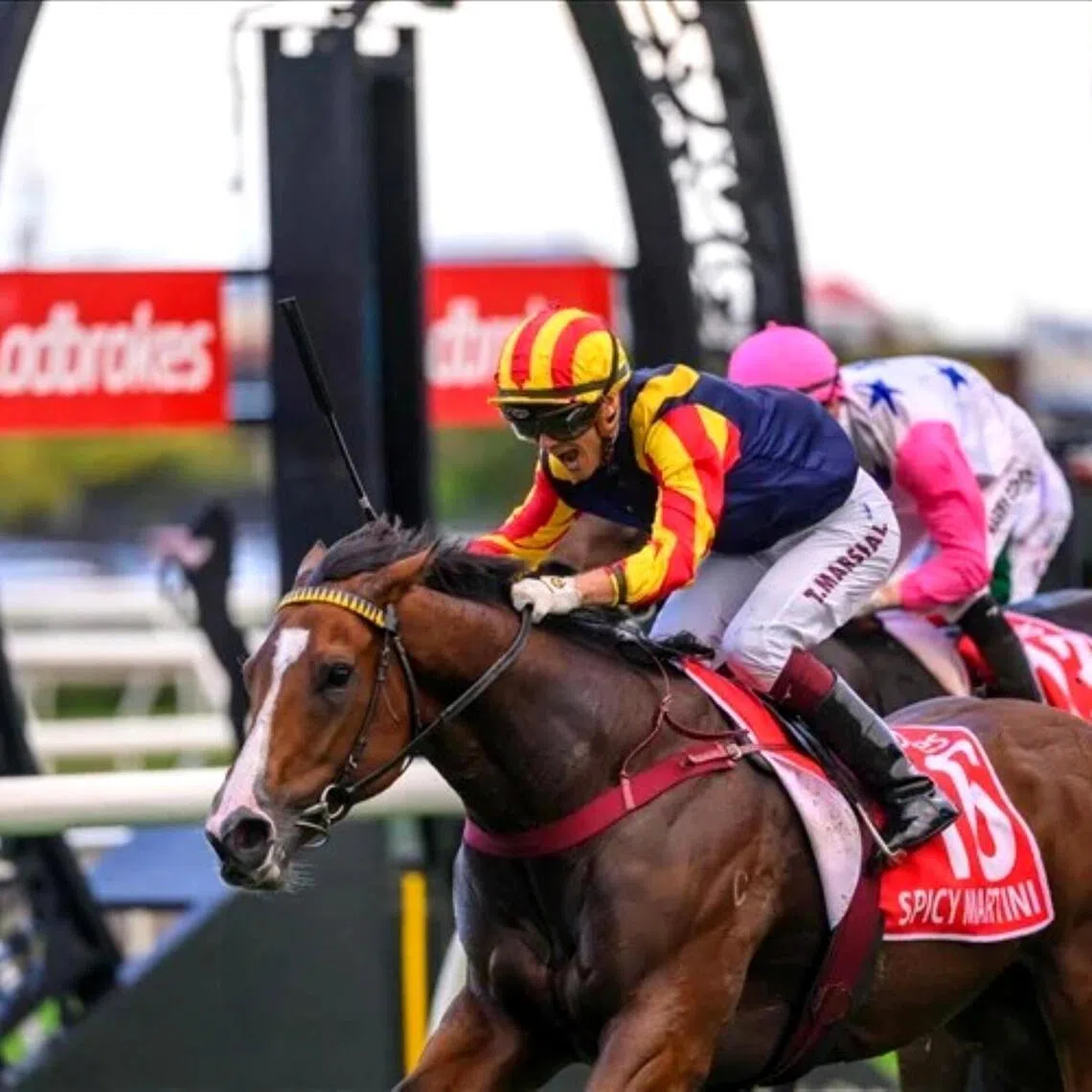 Spicy Martini handing his jockey Taylor Marshall his first taste of Group 1 success in the famed Stradbroke Handicap (1,400m) at Eagle Farm on June 13.

