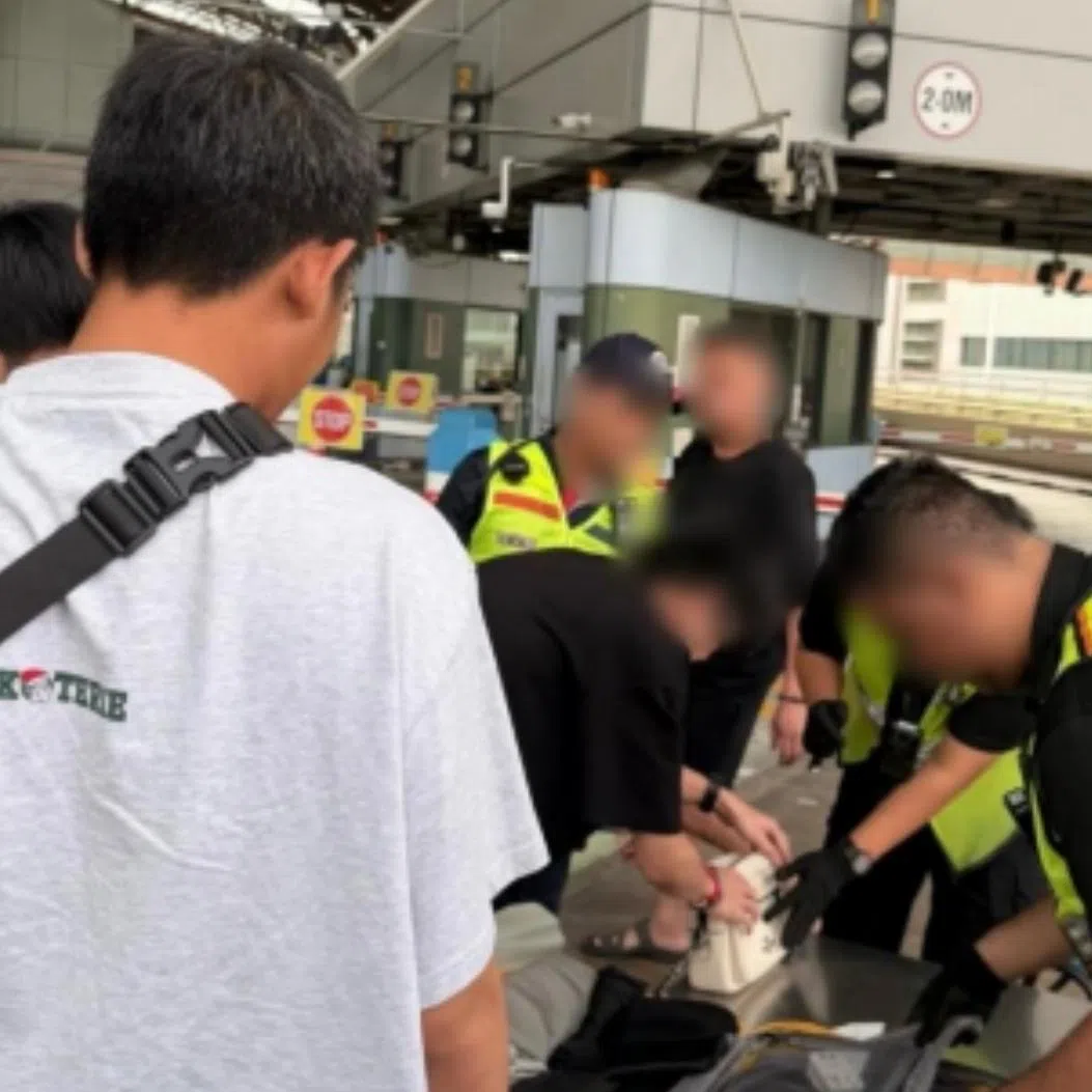 More than 10,000 travellers and 260 vehicles were identified for checks, and over 14,000 pieces of luggage and hand-carry bags were scanned or searched. during the operations.