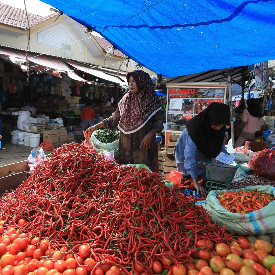 Indonesia's economic growth in the third quarter of 2025 has not tallied with other key indicators, prompting cynicism.