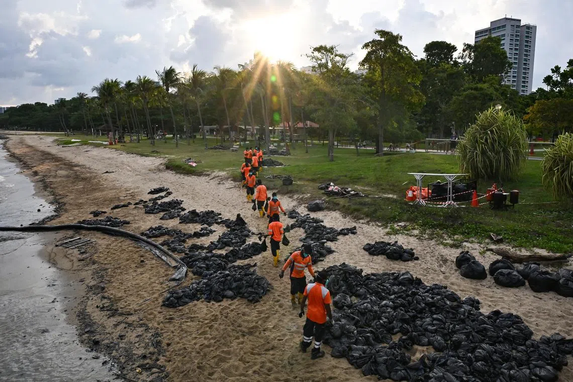 ST20240619-202441031295-Lim Yaohui-Carmen Sin-csoil23/
Workers forming a human chain to transfer bags of oil-stained sand for disposal near Siglap Canal at East Coast Park at 6.20pm on June 19, 2024.
Colour piece on volunteers, workers and beach lovers' response to the oil spill event. what they are doing etc. to bring across the deep feeling towards marine life and spaces in Singapore. Oil spill occurred after one vessel allided with another at the Pasir Panjang Terminal on June 14.
The incident involved the Netherlands-flagged dredging boat Vox Maxima and the Singapore-flagged bunker vessel Marine Honour, which was stationary, the Maritime and Port Authority of Singapore (MPA) said in a statement.
(ST PHOTO: LIM YAOHUI)
