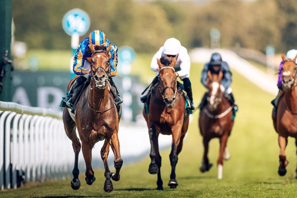 The Aidan O'Brien-trained Diamond Necklace (Ryan Moore) leaving her rivals stranded in the Group 1 Nassau Stakes (1,991m) at Goodwood on July 30.

PHOTO: GOODWOOD RACECOURSE