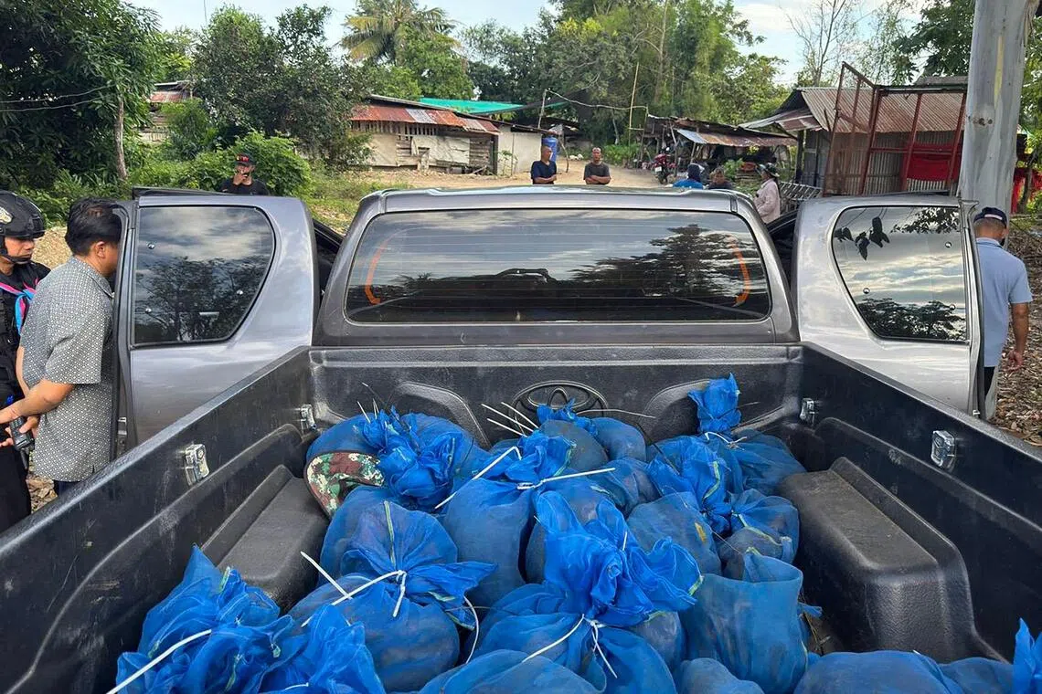 Men moving 81 macaques and meth arrested in Thailand near Cambodian border