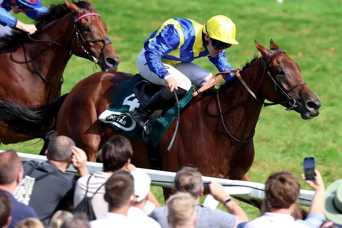 Francis-Henri - The Francis-Henri Graffard-trained Goliath going all the way in the Group 1 Grosser Preis von Baden (2,400m) in Baden-Baden on Sept 7, 2025.

PHOTO:  WETTSTAR.DE/MARC 
RUHL