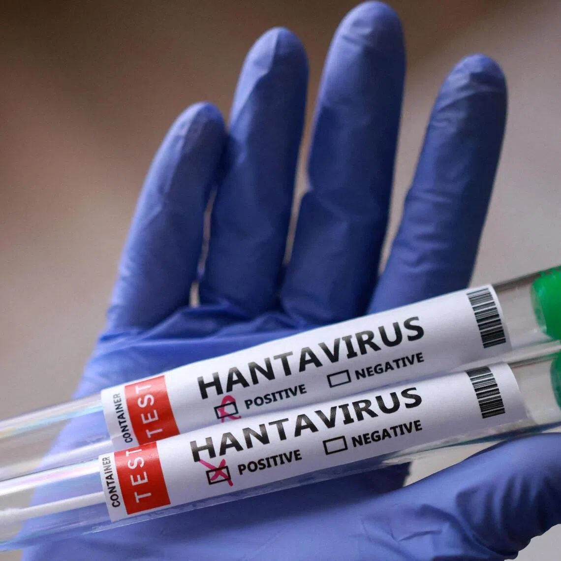 Over the last week, a polar expedition ship - the MV Hondius - has seen a hantavirus outbreak that killed three people.