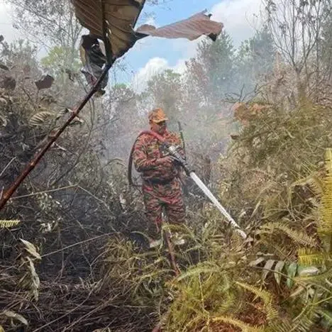 All 157 evacuees who escaped the peat fire in Pengerang, Malaysia, have been allowed to return home from relief centres.