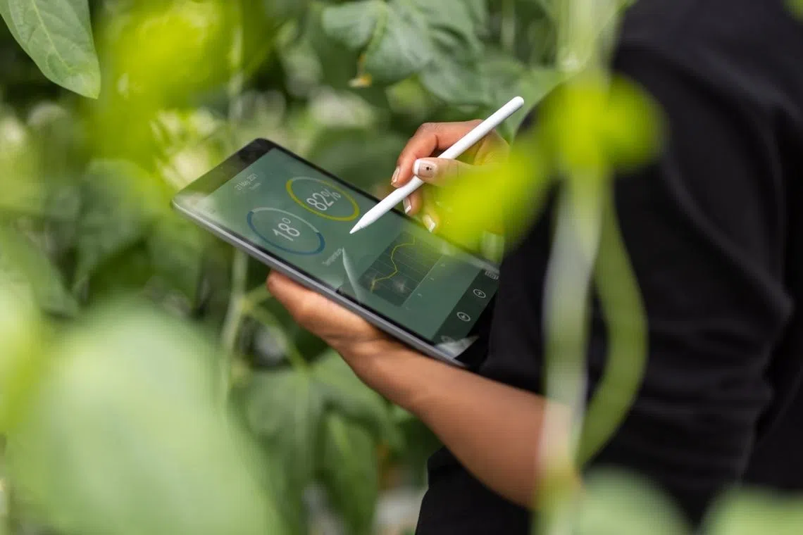 Demand for sustainability reporting and assurance professionals could double to 4,000 by 2030 from 2,000 in 2023, according to The Green Skills Committee Report 2025.