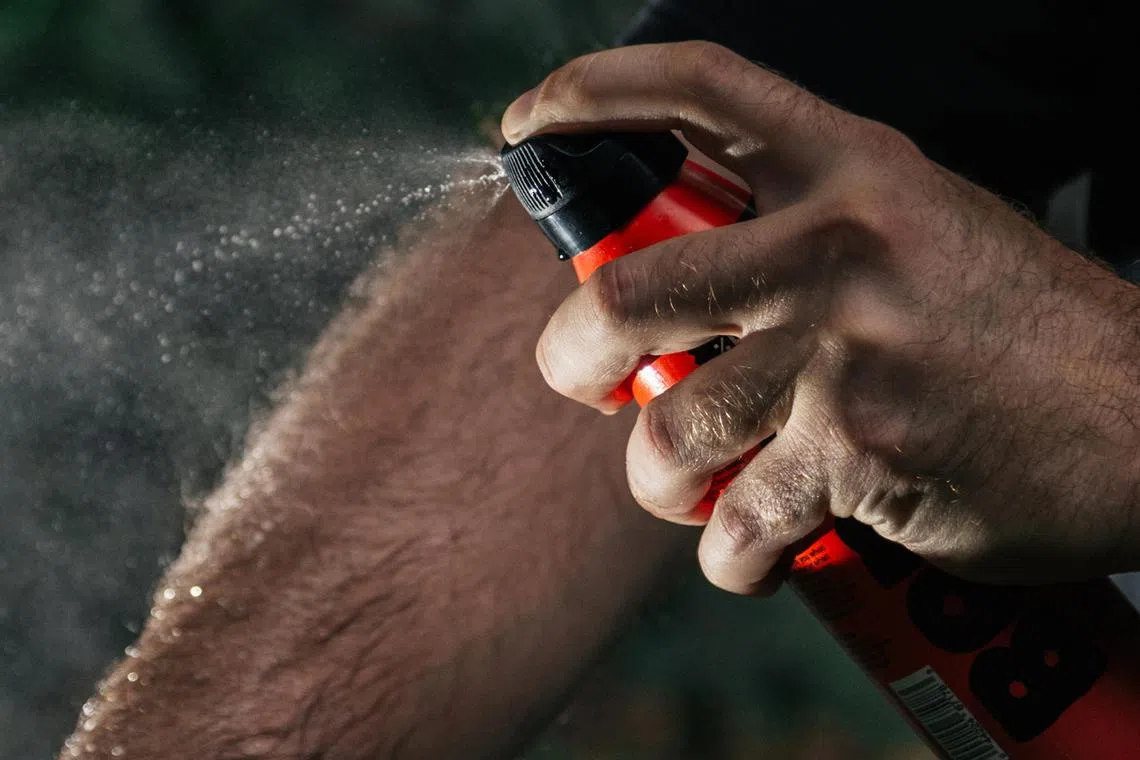 A man uses bug spray in New York, Aug 6, 2024. A spritz of a Deet-containing bug spray might smell unpleasant, but when used correctly, Deet's offensive odour might be its most harmful effect. 